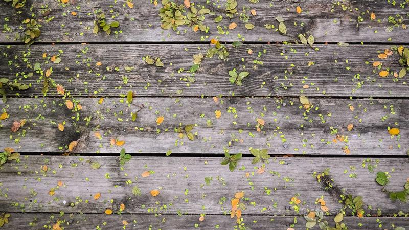 Featured image for Agntdev Com article