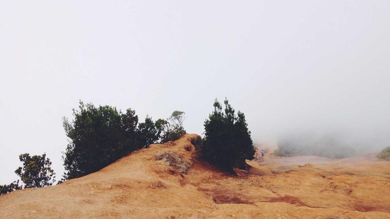 Featured image for Agntdev Com article