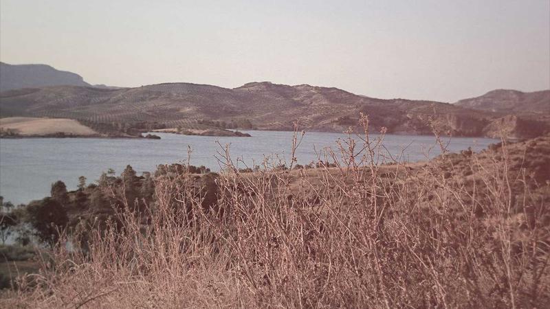 Featured image for Agntdev Com article