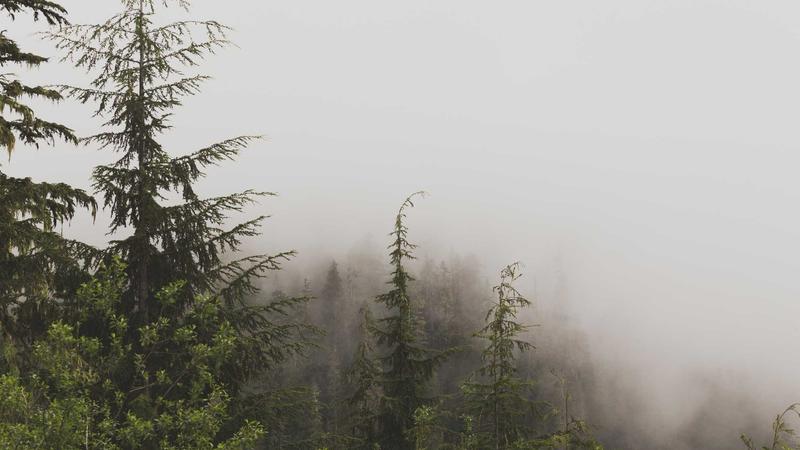 Featured image for Agntdev Com article