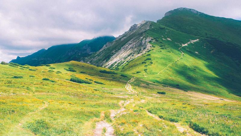 Featured image for Agntdev Com article