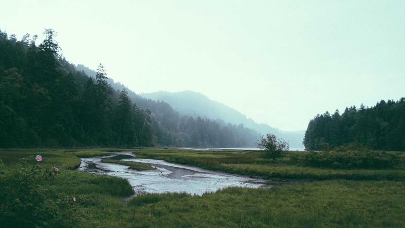 Featured image for Agntdev Com article